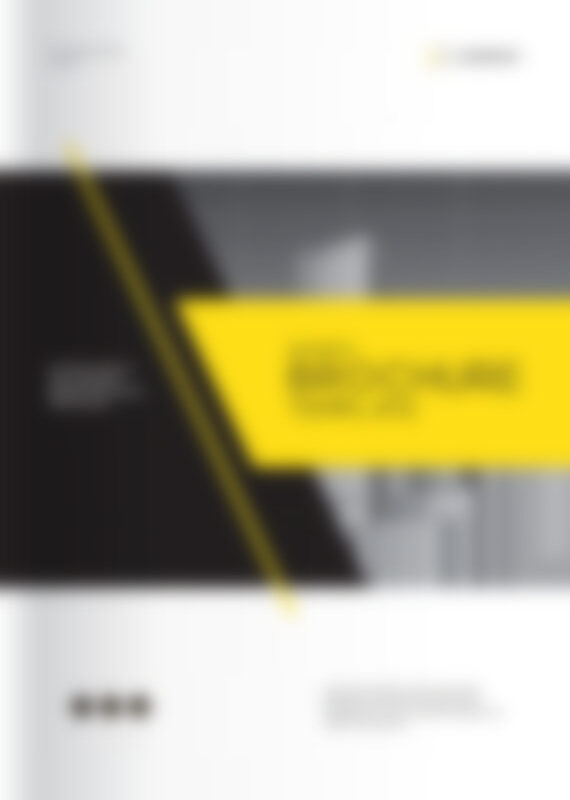 TRANSFORMATION PATH - 12 Months