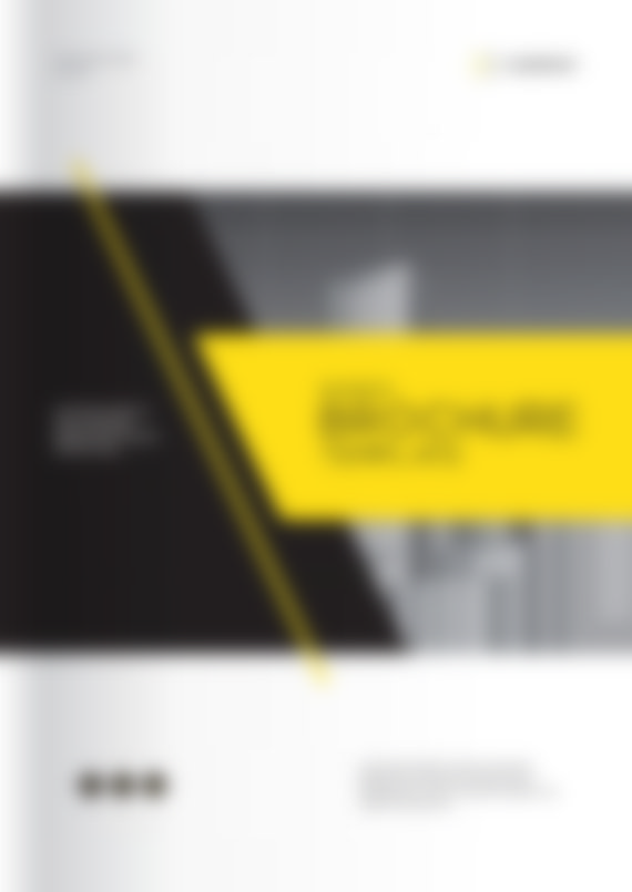 TRANSFORMATION PATH - 12 Months